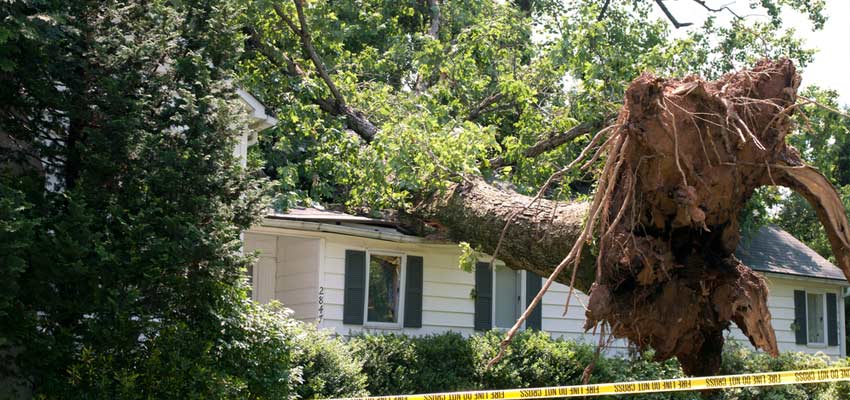 Your Roof Storm Damage Checklist Massachusetts Homeowners